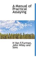A Manual of Practical Assaying