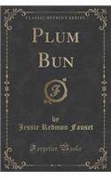 Plum Bun (Classic Reprint)