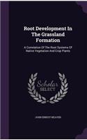 Root Development In The Grassland Formation