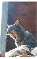 Kid's Petite Barn Cat Journal - Volume Two