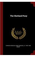 Shetland Pony