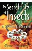 The Secret Life of Insects