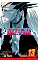 Bleach, Vol. 13