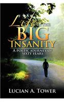 Life in the Big Insanity