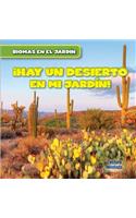 Vivo Cerca de Un Desierto (There's a Desert in My Backyard!)