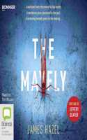 The Mayfly