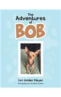 Adventures of Bob