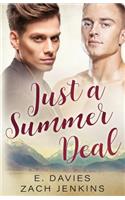 Just a Summer Deal