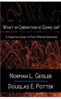 What in Cremation is Going on?