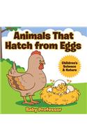 Animals That Hatch from Eggs Children's Science & Nature