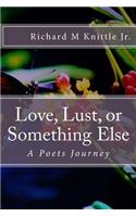 Love, Lust, or Something Else