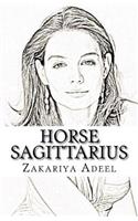 Horse Sagittarius: The Combined Astrology Series