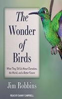 Wonder of Birds Lib/E