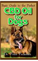 Basic Guide to the Perfect CBD Oil for Dogs