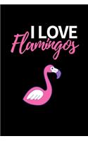 I Love Flamingos