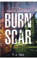 Burn Scar
