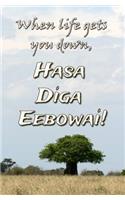 When Life Gets You Down, Hasa Diga Eebowai