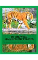 In The Wild Magnificent Felines: An Adult Grayscale Coloring Book