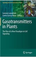 Gasotransmitters in Plants