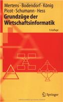 Grundzuge Der Wirtschaftsinformatik (9., Berarb. Aufl.)