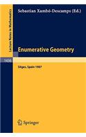 Enumerative Geometry