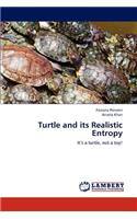 Turtle and its Realistic Entropy