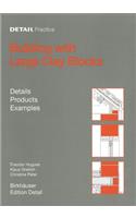 Building with Large Clay Blocks: Details, Products, Examples(DETAIL Practice)
