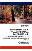 RNA Interference in Human Embryonal Carcinoma and Embryonic Stem Cells