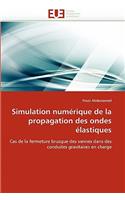 Simulation Numérique de la Propagation Des Ondes Élastiques