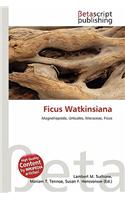 Ficus Watkinsiana
