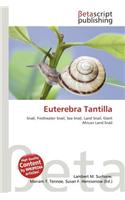 Euterebra Tantilla: (English)