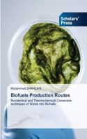 Biofuels Production Routes