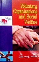 Voluntary Organisations and Social Welfare