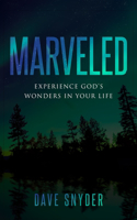Marveled