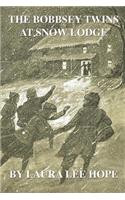 The Bobbsey Twins at Snow Lodge
