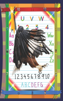 Fall K Alphabet Tracing Workbook