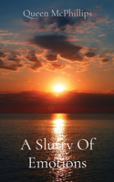 Slurry Of Emotions