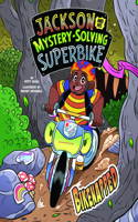 Bikenapped