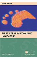 First Steps in economic indicators