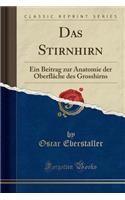 Das Stirnhirn: Ein Beitrag Zur Anatomie Der OberflÃ¤che Des Grosshirns (Classic Reprint)