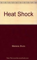 Heat Shock - Proceedings of an International Workshop Breuberg, FRG, October 15-17, 1990