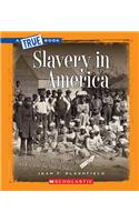 Slavery in America