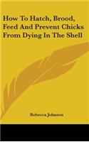 How to Hatch, Brood, Feed and Prevent Chicks from Dying in the Shell