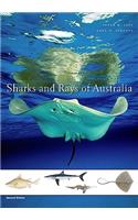 Sharks and Rays of Australia