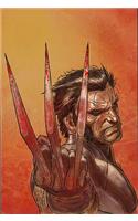 Wolverine Weapon X