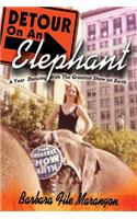 Detour On An Elephant
