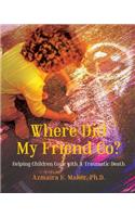 Where Did My Friend Go?