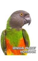 Senegal Parrot Notebook
