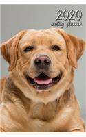 2020 Weekly Planner: 6 X 9 In. Yellow Labrador Retriever 52 Weekly Calendar Schedule Organizer Appointment Journal Notebook for Lab Fans