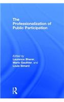 Professionalization of Public Participation